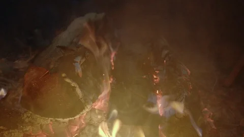 Campfire At Night, Close up Stock Footage 116439163