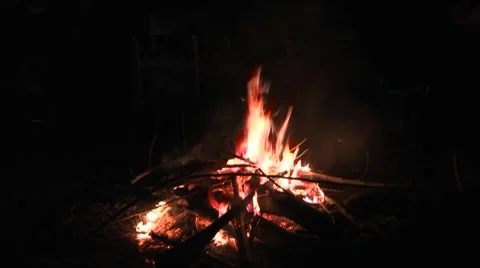 Campfire at night Video stock 7735028