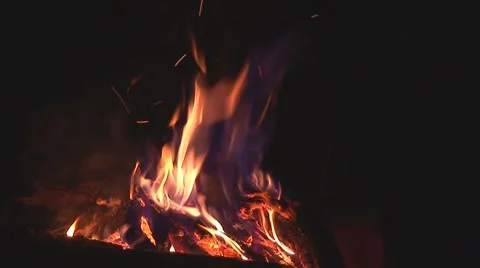 Campfire at night Stock Footage 8518631