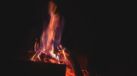 Campfire at night Stock Footage 8518632