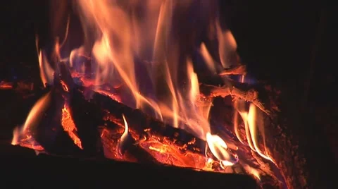 Campfire at night Stock Footage 8518637