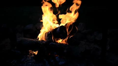 Campfire at night Stock Footage 36878750