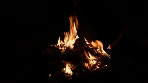 Campfire at night Stock Footage 47496796