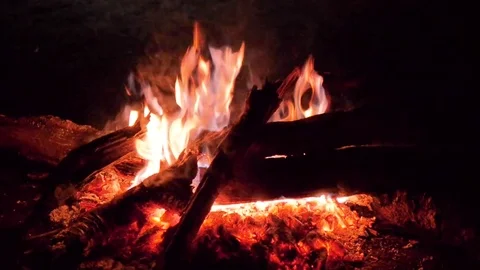 Campfire at night Stock Footage 79071144