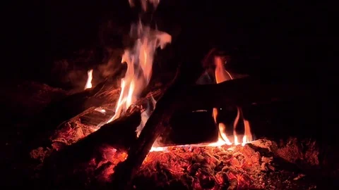 Campfire at night Stock Footage 79071173