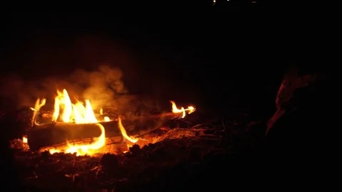 Campfire In The Night Video stock 79246106