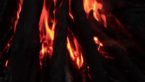 Campfire night Stock Footage 82875326