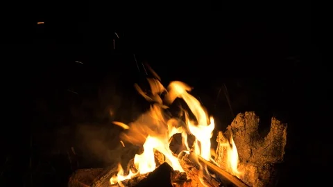Campfire at night Stock Footage 93163705
