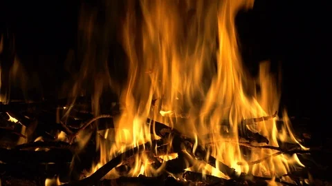 Campfire at night Stock Footage 98151905