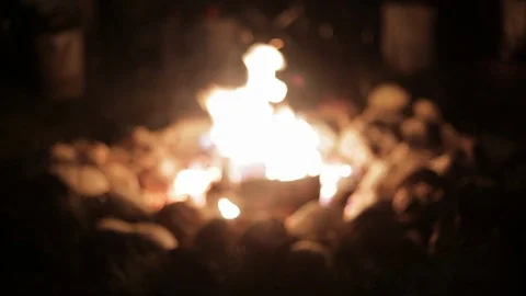 Campfire at night Vídeo Stock 102016485
