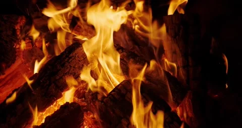 Campfire in the night Stock Footage 141096229