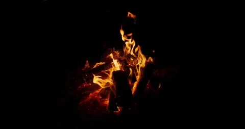 Campfire in the night 動画素材 141096309