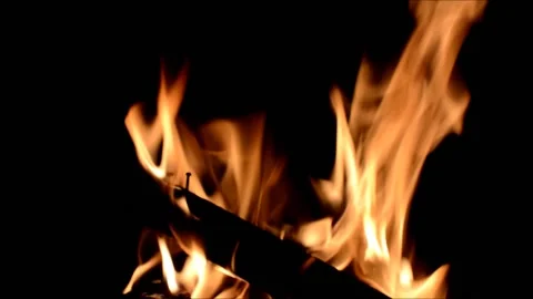 Campfire in the night. 動画素材 149936589