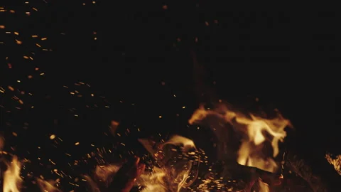 Campfire At Night 스톡 동영상 150696229