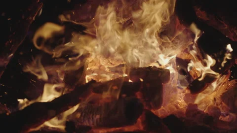 Campfire At Night 스톡 동영상 150696395