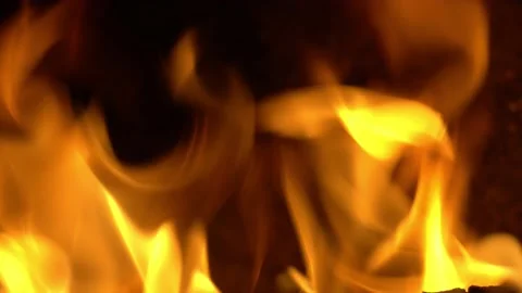 Campfire at night Stock Footage 158881345