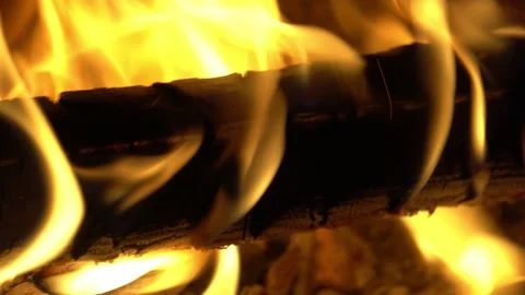 Campfire at night Stock Footage 158881351