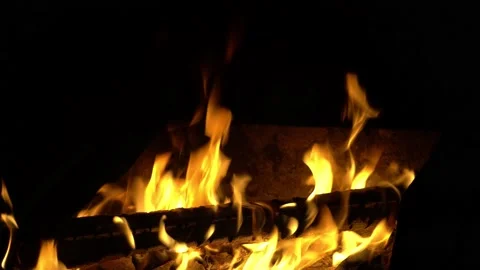 Campfire at night Video stock 158881366