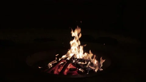 Campfire at night Stock Footage 230207352