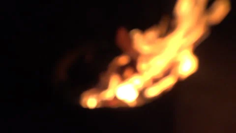 Campfire at Night Stock Footage 240307011