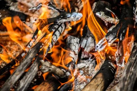 Campfire at night in the forest. Stock Photos
