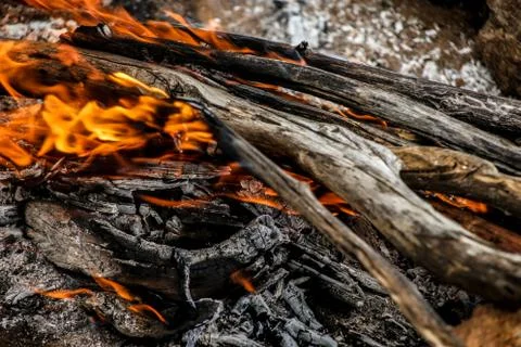 Campfire at night in the forest. Stock Photos