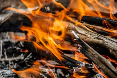 Campfire at night in the forest. Foto stock