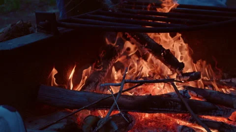 Campfire at Night – Glowing Flames in the Dark Wilderness Stock Footage 310081550