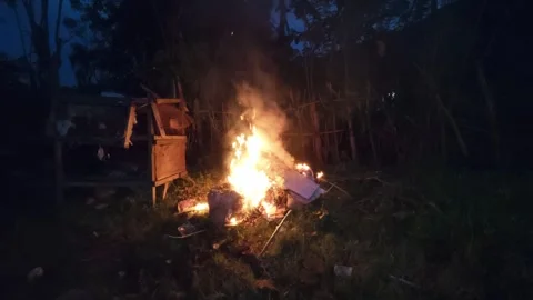 Campfire at Night in a Natural Setting. Slow motion Video stock 303001235