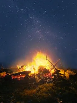 Campfire in the night Foto stock