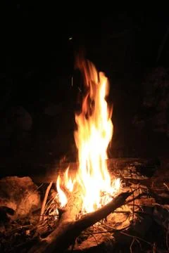 Campfire in night Stock Photos