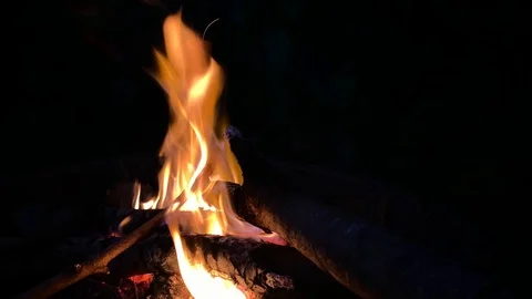 Campfire at night in slowmotion Stock Footage 123753784