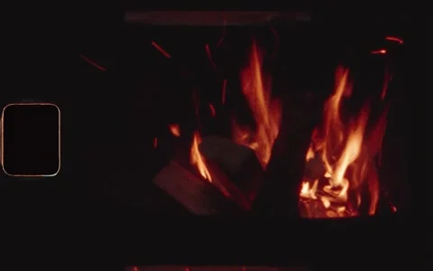 Campfire at night Super 8 Stock Footage 221788723