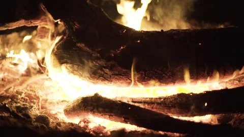 Campfire at night time Stock Footage 77016641