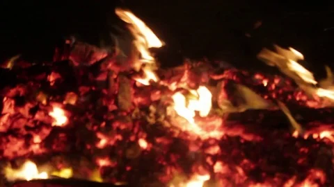 Campfire at night various Stock Footage