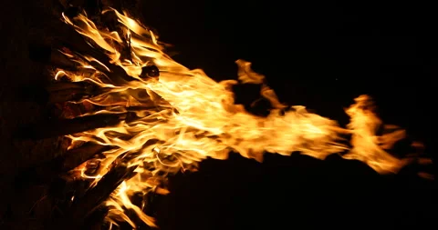 Campfire at night vertical Stock Footage 303955126