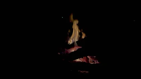 Campfire at night, yellow flames Stock Footage 172132252