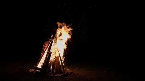 Campfire or bonfire burning in dark night Stock Footage 120021251