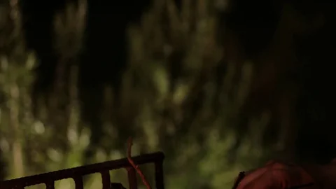 Campfire outdoor Stock Footage 82124027