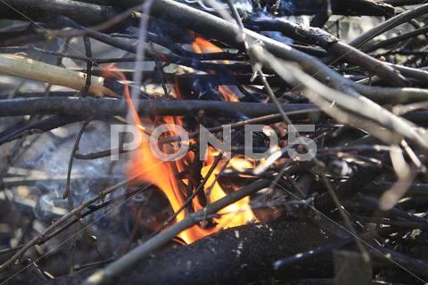 Campfire. Stock Photos