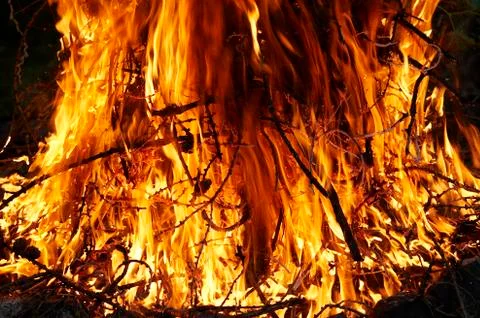 Campfire Stock Photos