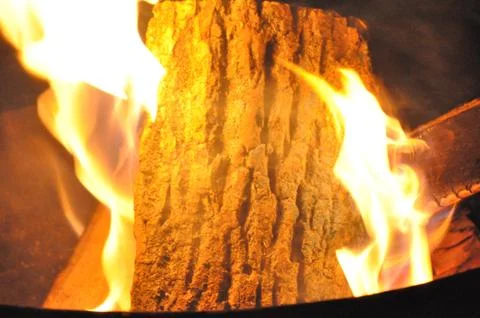 Campfire 写真素材