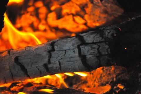 Campfire 写真素材