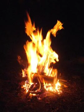 The campfire Stock Photos