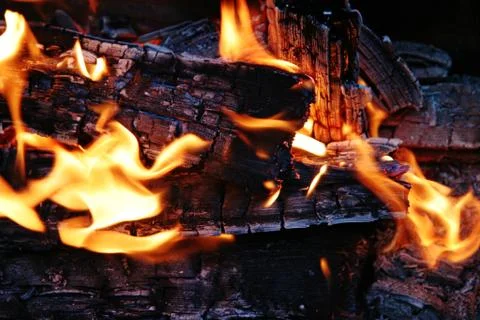 Campfire Stock Photos