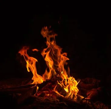 Campfire Stock Photos