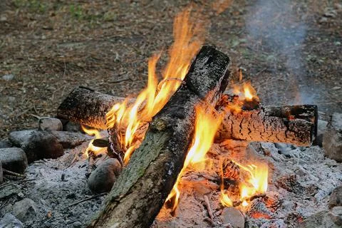 Campfire Stock Photos