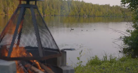 Campfire pit by the lake at evening / Ducks in back ground / Focus on ducks Stock Footage 130927383