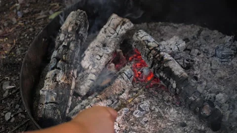 Campfire playing with branch hot fire wood camping burning 库存影片 156149571