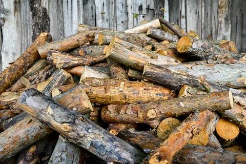 Campfire preparation Stock Photos